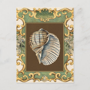 Small Mermaid's Shells Postcard
