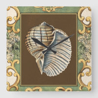 Small Mermaid's Shells