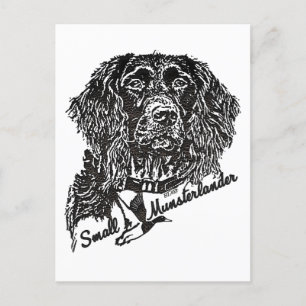Small Munsterlander (logo)  Postcard