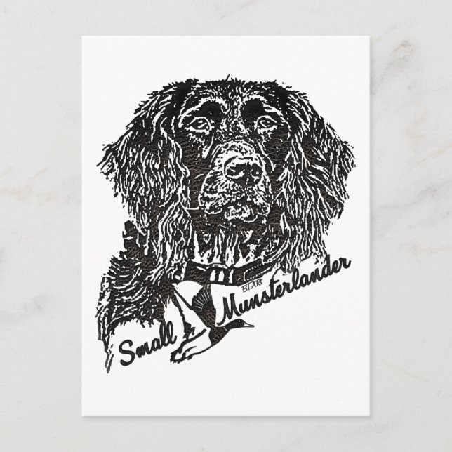 Small Munsterlander (logo)  Postcard (Front)