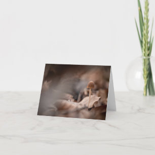 Small Mushroom Nature Photo Card
