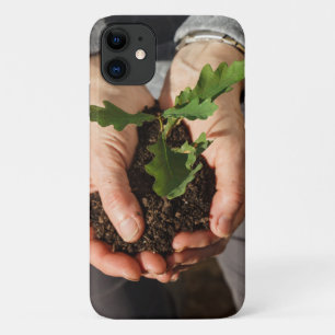 Small oak in the hands of a woman iPhone 11 case