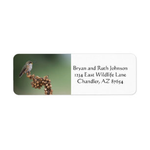 Small Orange Hummingbird Return Address Label