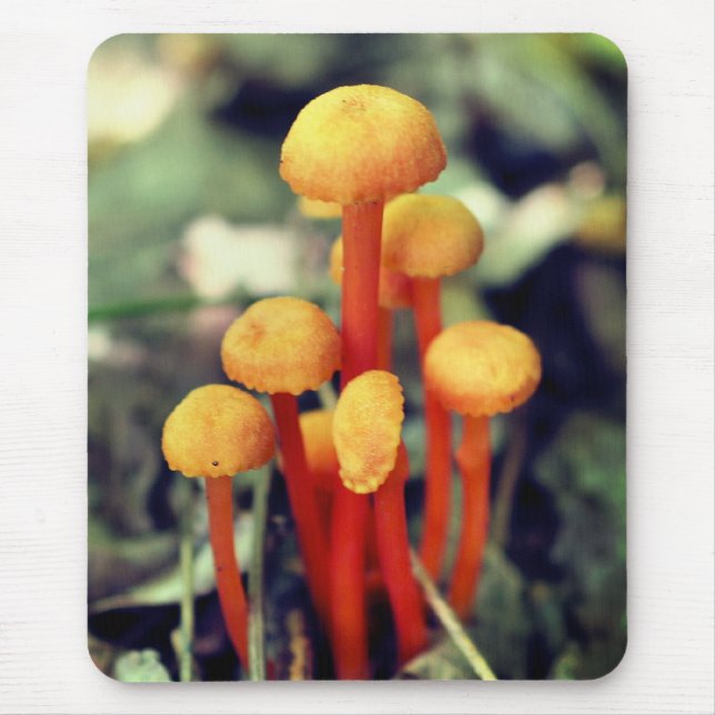 Small Orange Mushrooms Nature  Mouse Pad (Front)