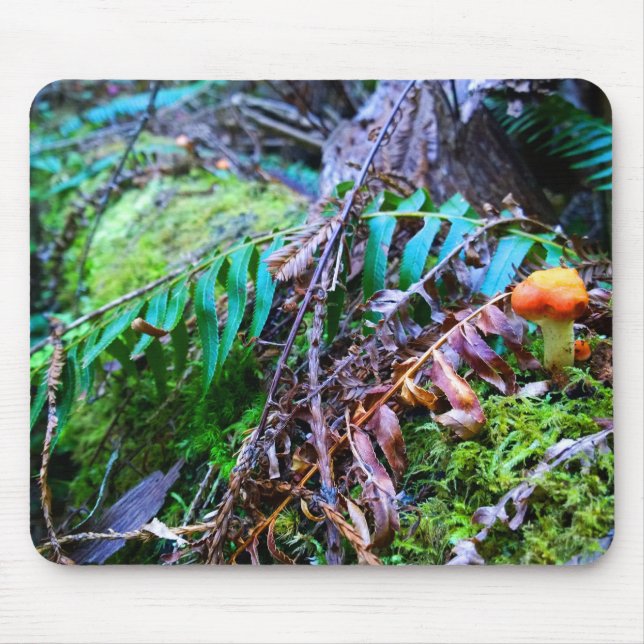 Small Orange Wild Mushroom in the Forest Mouse Pad (Front)