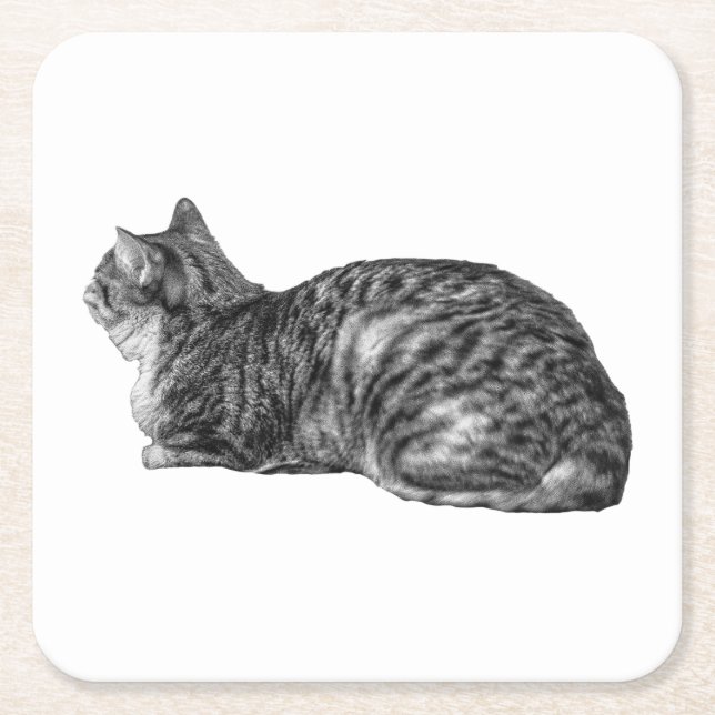 Small Pause, Tabby Poise Square Paper Coaster (Front)