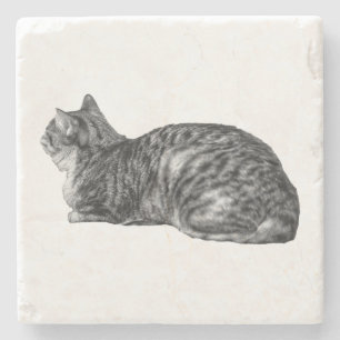 Small Pause, Tabby Poise Stone Coaster