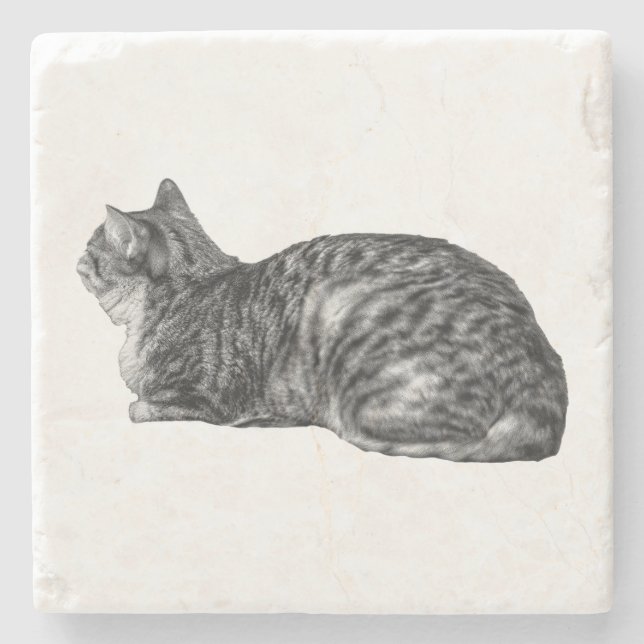 Small Pause, Tabby Poise Stone Coaster (Front)