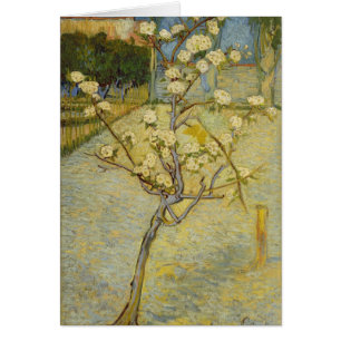 Small pear tree in blossom Card
