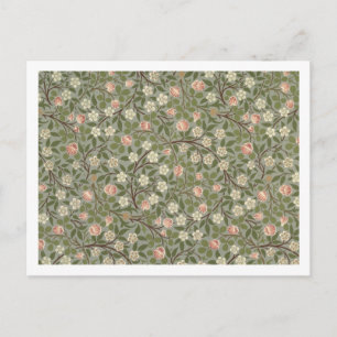 Small pink and white flower wallpaper design postcard