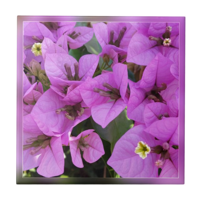 small pink flowers ceramic tile (Front)