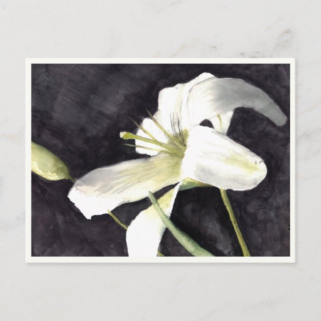 Small Postcard 4.25" x 5.6" (Front)
