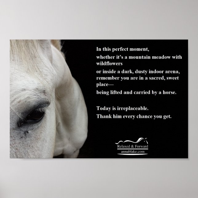 Small Poster with a white horse and a quote  (Front)