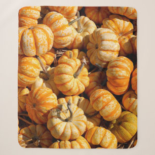 small pumpkins in stack sherpa blanket