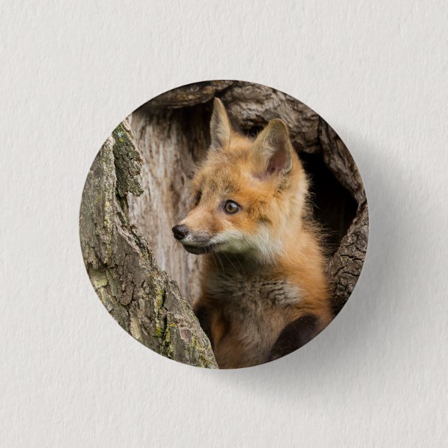 Small Red Fox in a Tree  Hollow 3 Cm Round Badge (Front)