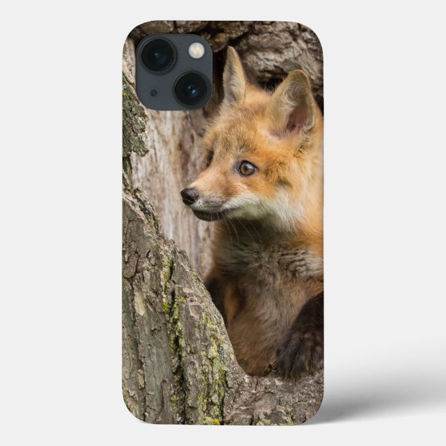 Small Red Fox in a Tree  Hollow Case-Mate iPhone Case (Back)
