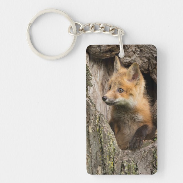 Small Red Fox in a Tree  Hollow Key Ring (Front)