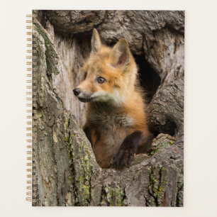 Small Red Fox in a Tree Hollow Planner