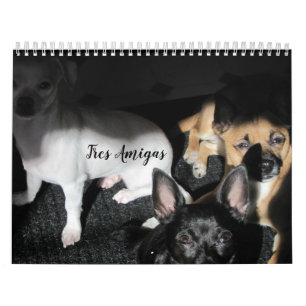 Small Rescue Dogs 12-Month Calendar