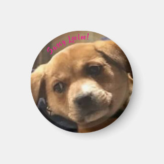 Small, Round Sassy Leeloo! Magnet