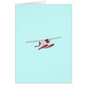 Small Sea Plane