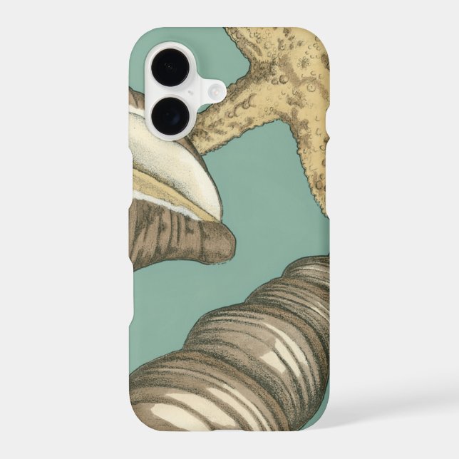 Small Shell Trio on Teal (Back)