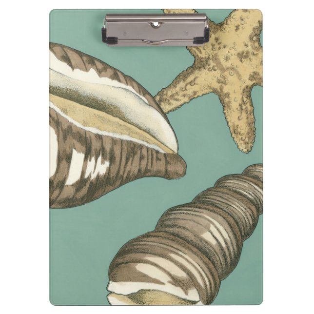 Small Shell Trio on Teal Clipboard (Front)