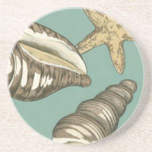 Small Shell Trio on Teal Coaster