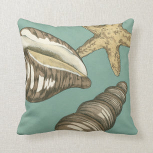 Small Shell Trio on Teal Cushion