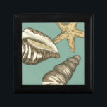 Small Shell Trio on Teal Gift Box<br><div class="desc">Megan Meagher is known for her simple art pieces. This image captures the simplicity of the seashore's treasures,  of a conch shells and a starfish. Meagher encompasses a teal background in her image to contrast these treasures. Get this fine art print today on your Zazzle product today.</div>