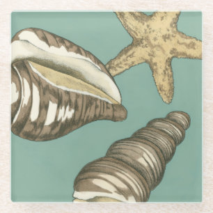 Small Shell Trio on Teal Glass Coaster