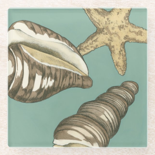 Small Shell Trio on Teal Glass Coaster (Front)
