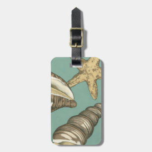 Small Shell Trio on Teal Luggage Tag
