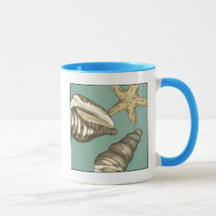 Small Shell Trio on Teal Mug
