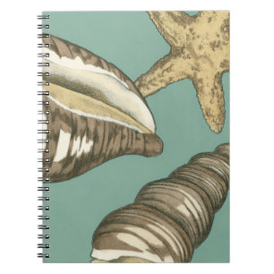 Small Shell Trio on Teal Notebook