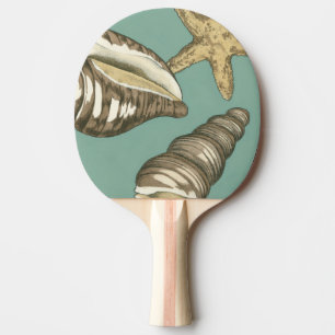 Small Shell Trio on Teal Ping Pong Paddle