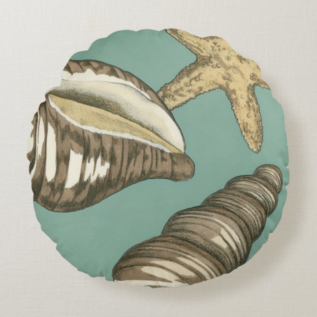Small Shell Trio on Teal Round Cushion (Front)