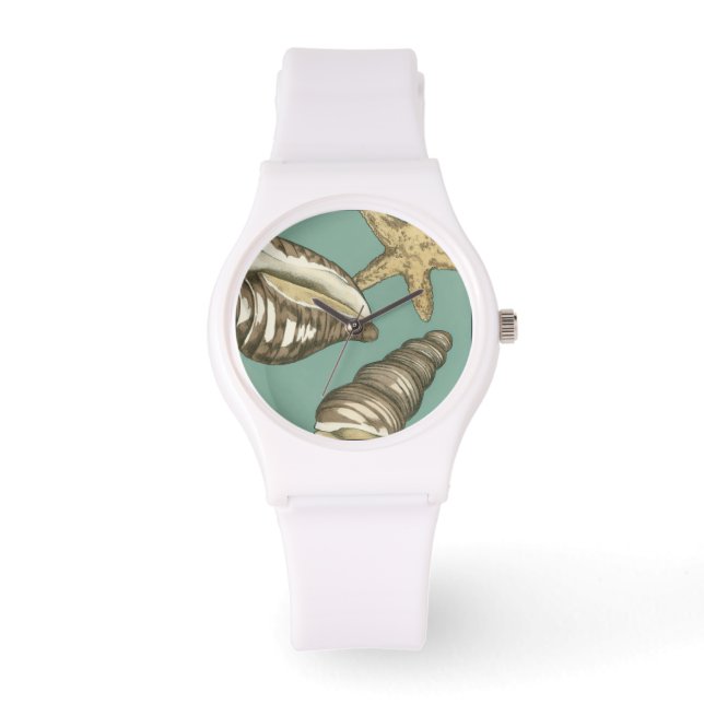 Small Shell Trio on Teal Watch (Front)