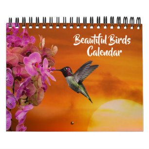 Small Size Beautiful Birds Calendar