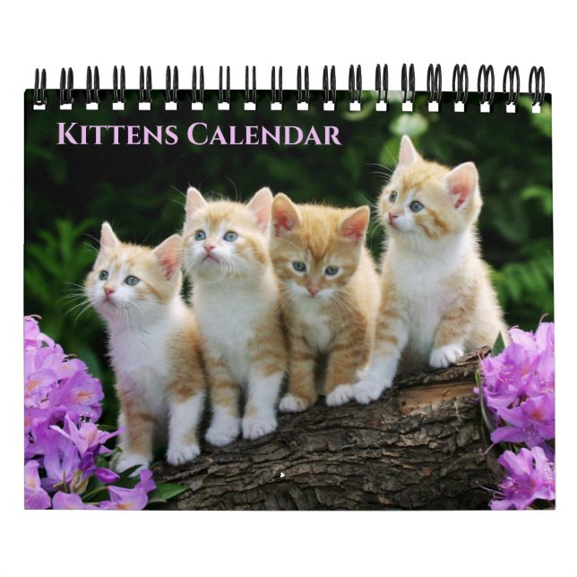 Small Size Kittens Calendar (Cover)