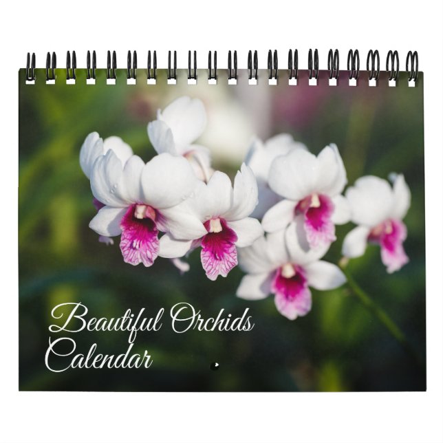 Small Size Orchids Calendar (Cover)
