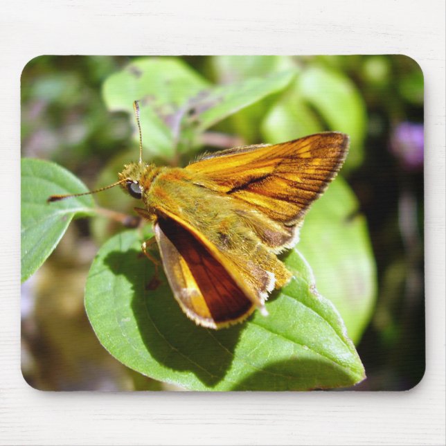 Small Skipper Butterfly Mouse Mat (Front)