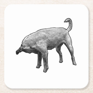 Small Sniff, Big Smile Square Paper Coaster