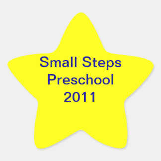 Small Steps 2011 Star Sticker