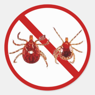 Small Stickers, Lyme Disease Tick (White) Classic Round Sticker