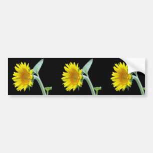 Small Sunflower Bumper Sticker