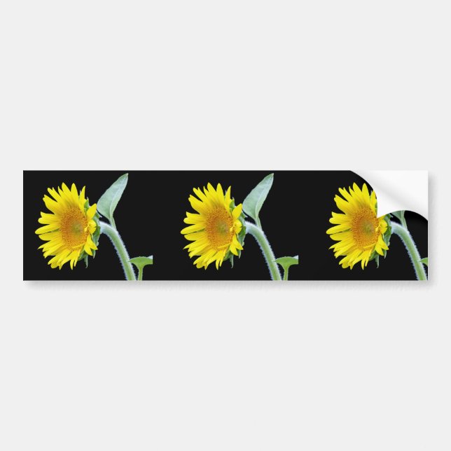 Small Sunflower Bumper Sticker (Front)