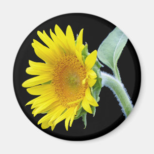 Small Sunflower Magnet