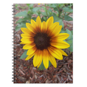 Small sunflower on a Notebook
