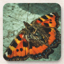 Small Tortoiseshell Butterfly 